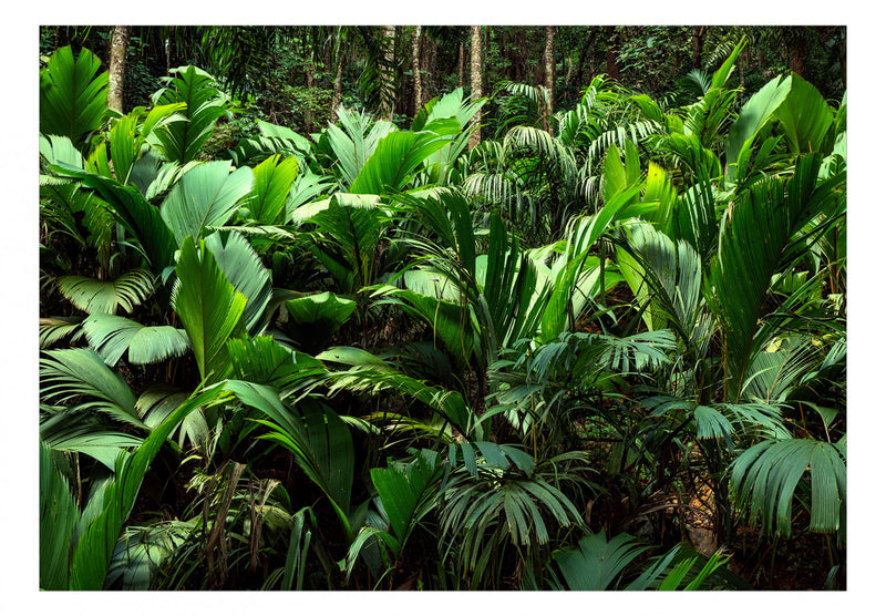 Fototapetes ar mežu - Džungļu svaigums 135486