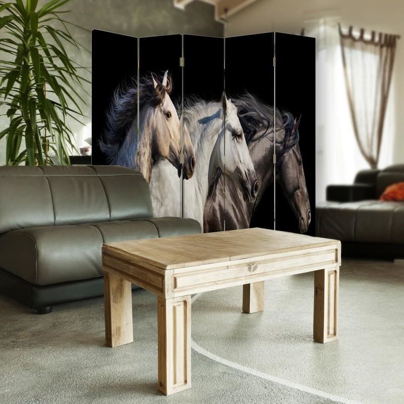 Aizslietnis, 5 paneļi, Divpusējs, kanva, Three Horses 