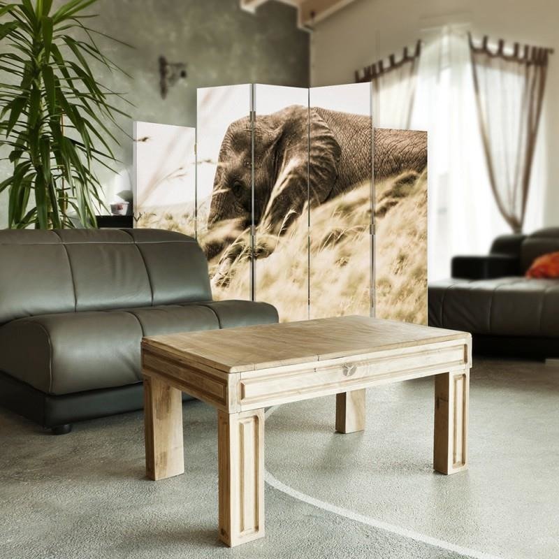 Decorative Aizslietnis, 5 paneļi, Divpusējs, kanva, Elephant In The Grass 