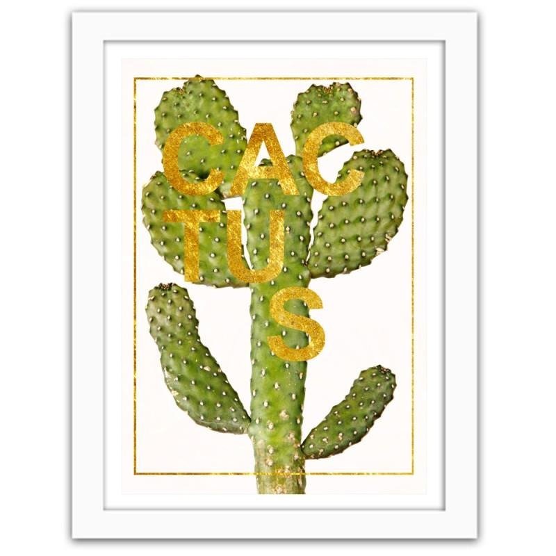 Glezna baltā rāmī - Cactus 
