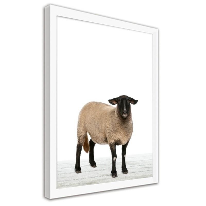 Glezna baltā rāmī - Big sheep 