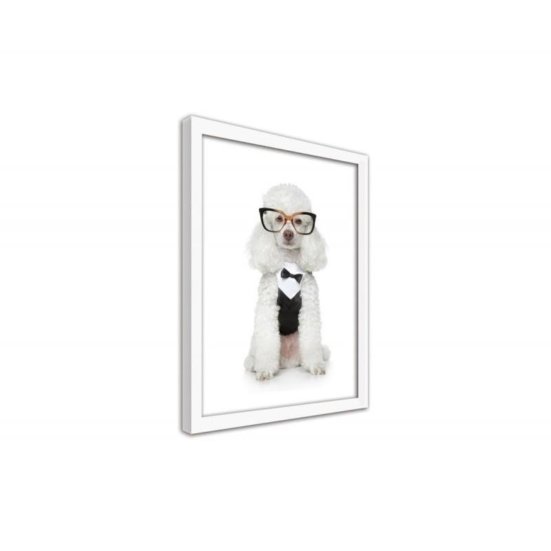 Glezna baltā rāmī - Elegant dog 