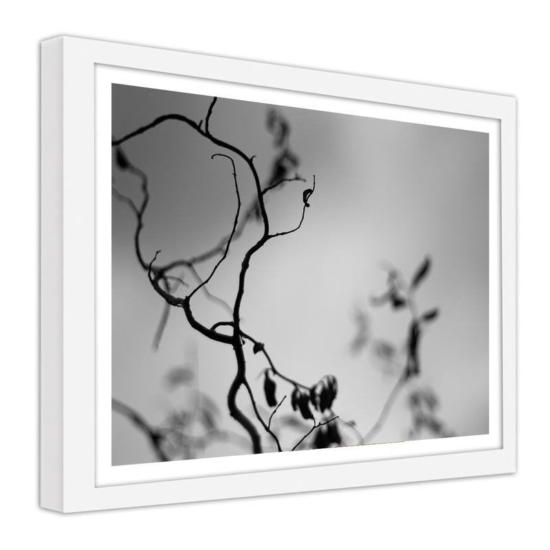 Glezna baltā rāmī - A branch on a gray background 