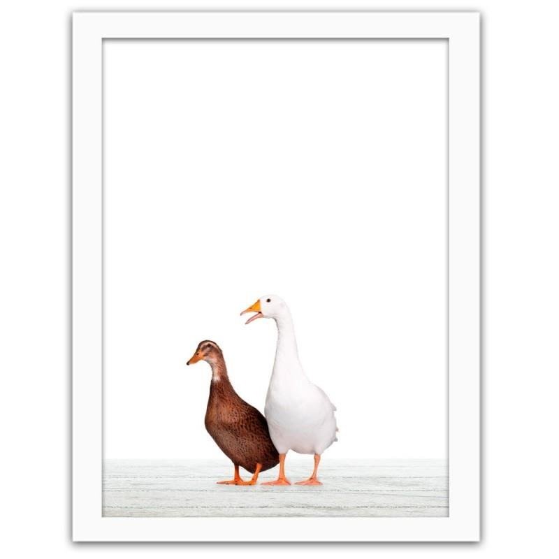 Glezna baltā rāmī - Goose and duck 