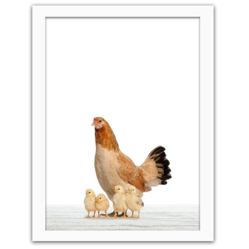 Glezna baltā rāmī - Chicken chicken 
