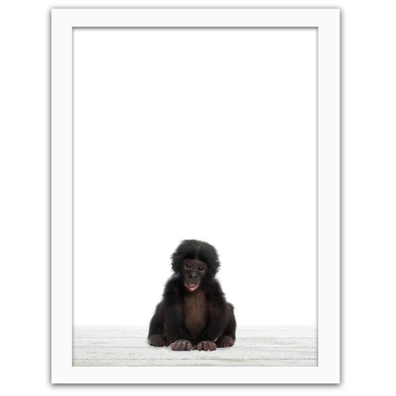 Glezna baltā rāmī - A little chimpanzee. 
