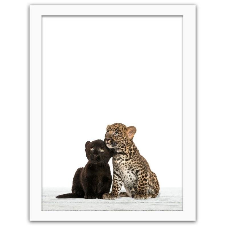 Glezna baltā rāmī - A little leopard and a cougar 