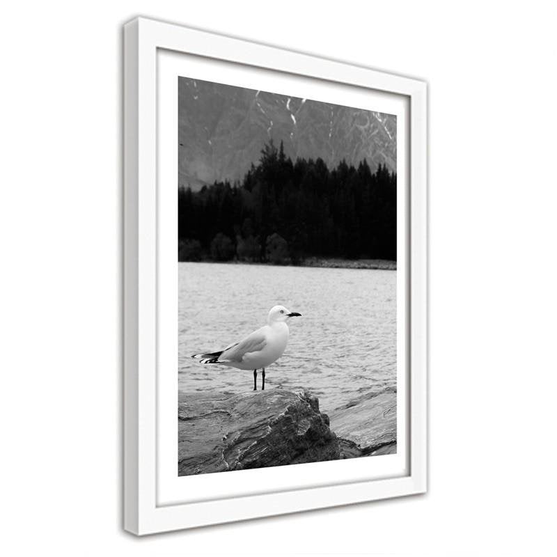 Glezna baltā rāmī - A seagull on a rock 