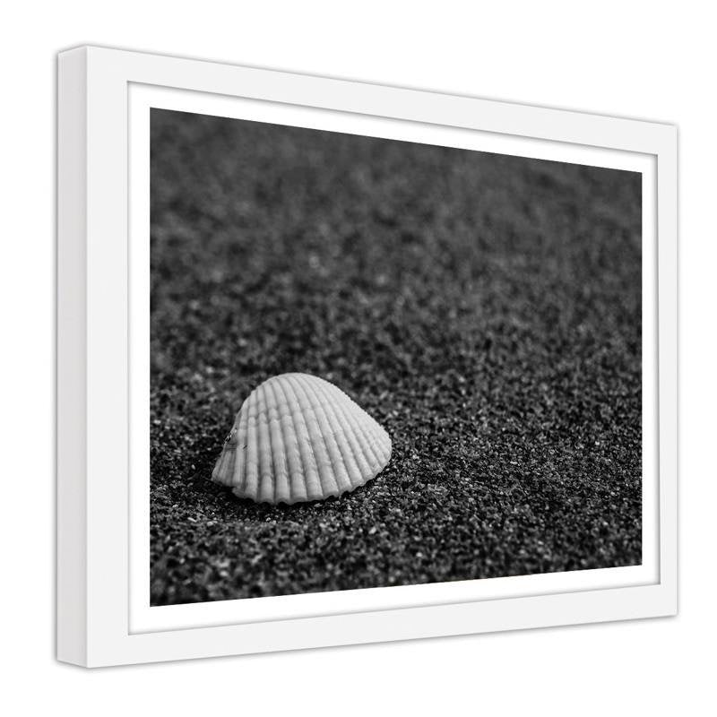 Glezna baltā rāmī - A shell in the sand 