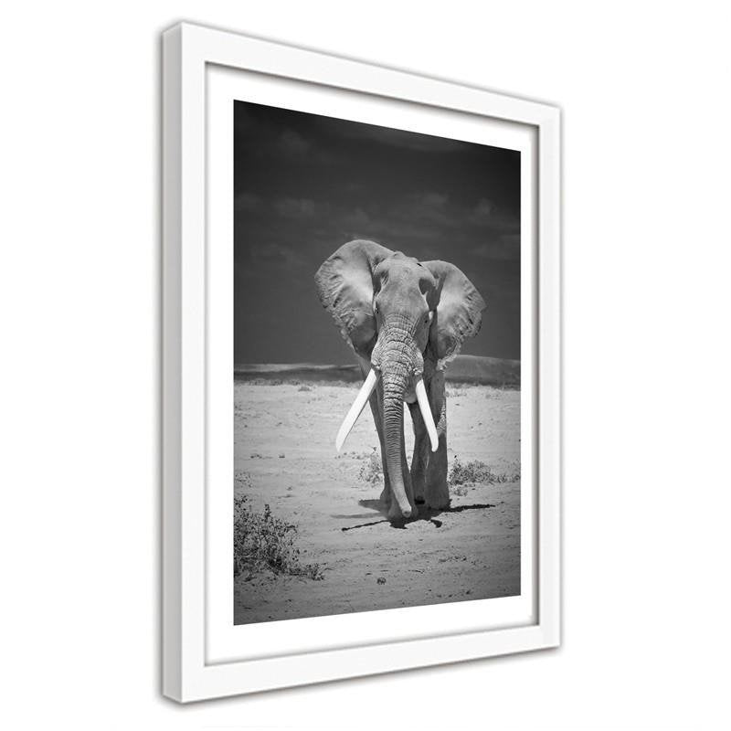 Glezna baltā rāmī - A lonely wandering elephant 