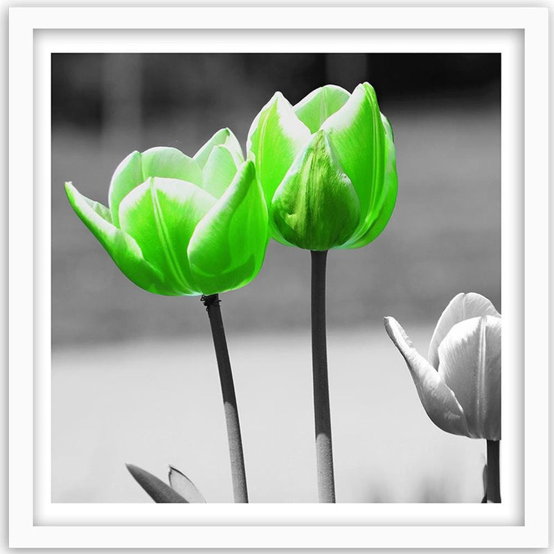 Glezna baltā rāmī - Green Poppies In Gray 