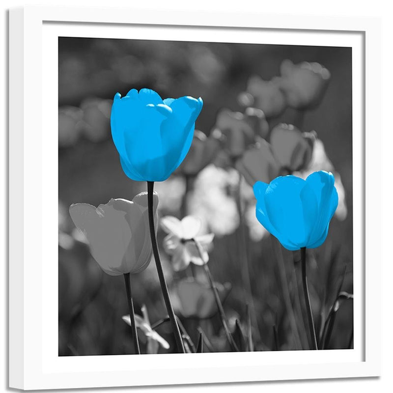 Glezna baltā rāmī - Blue Tulips On A Meadow 