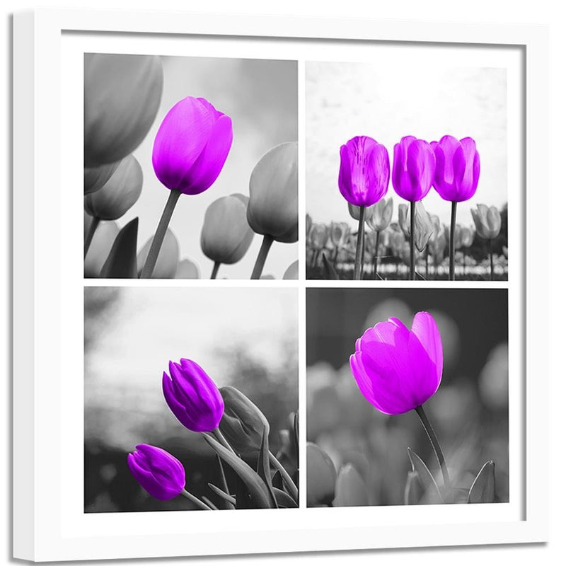 Glezna baltā rāmī - A Set Of Purple Tulips 