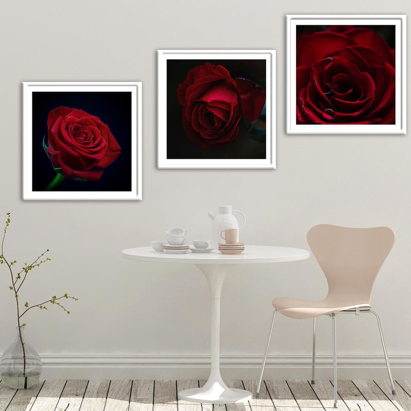 Glezna baltā rāmī - Beautiful Red Rose 