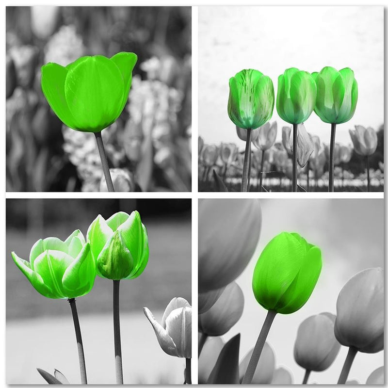 Dekoratīvais panelis - Set Of Green Poppies 