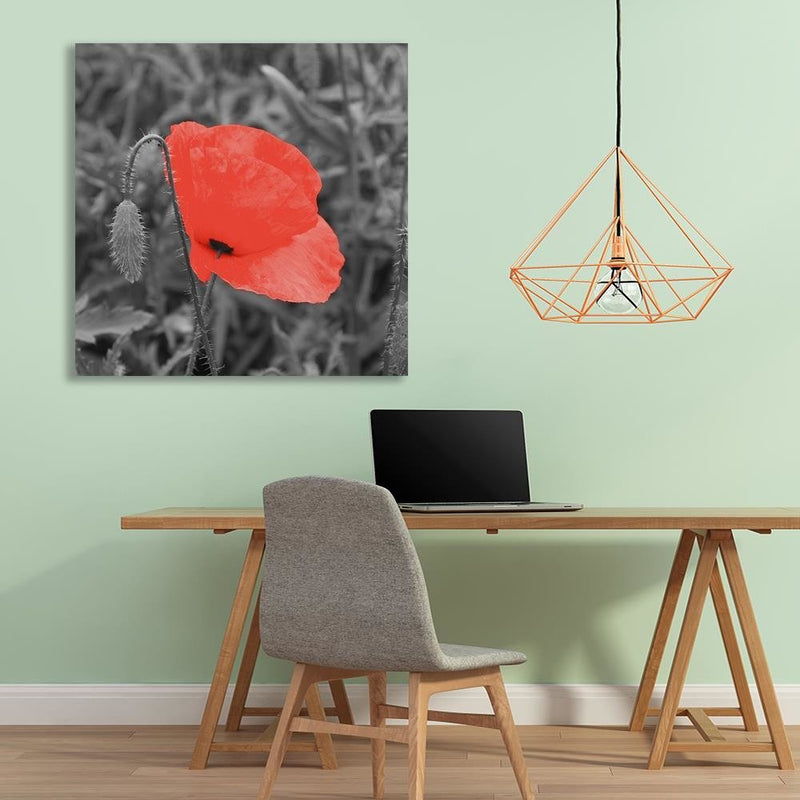 Dekoratīvais panelis - Red Poppy In Gray 