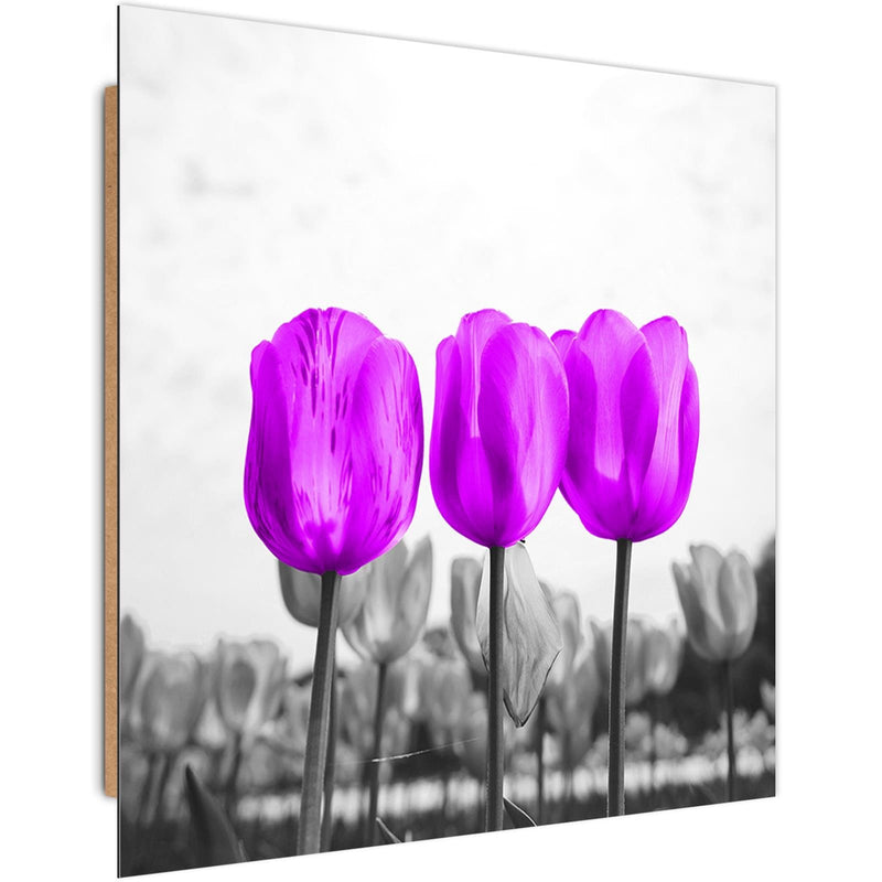 Dekoratīvais panelis - Purple Tulips 