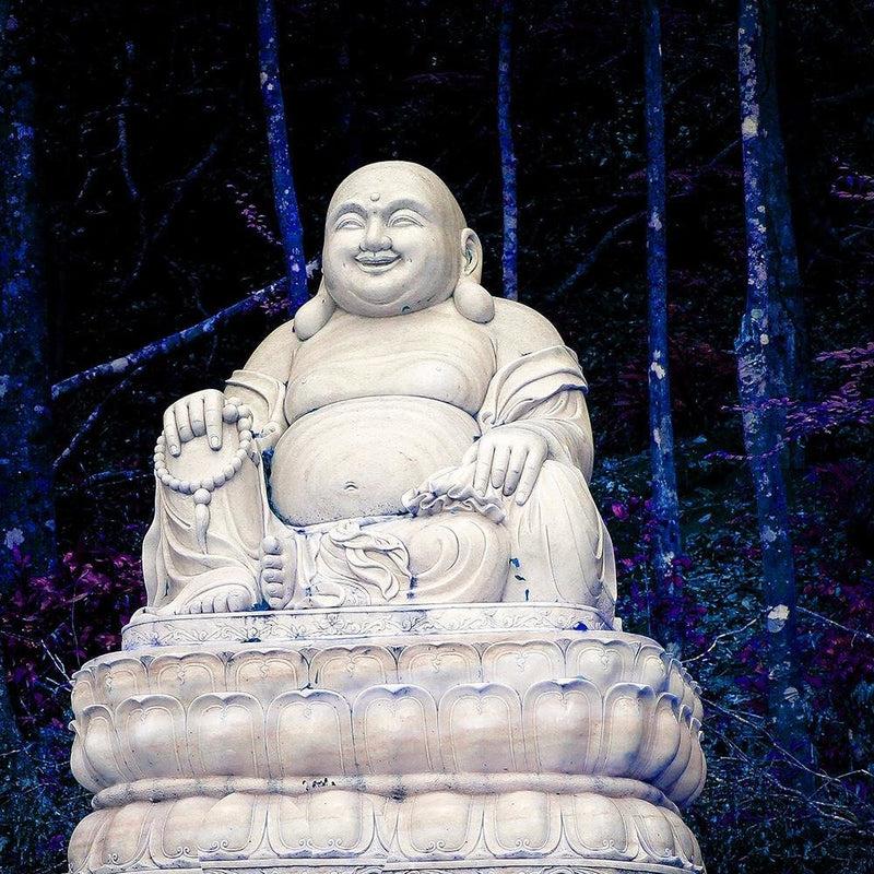 Glezna baltā rāmī - Buddha In The Forest 