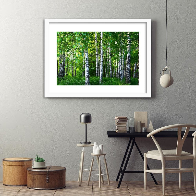 Glezna baltā rāmī - Birch Forest 