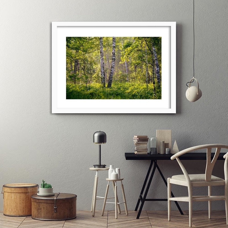 Glezna baltā rāmī - Birches In The Middle Of The Forest 