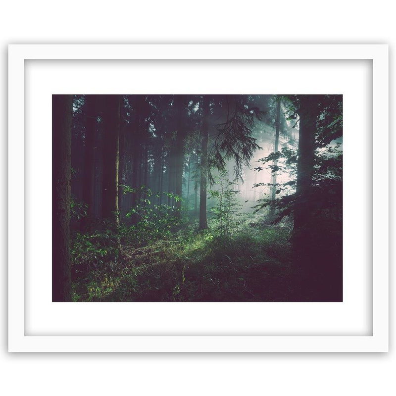 Glezna baltā rāmī - Dark Forest 