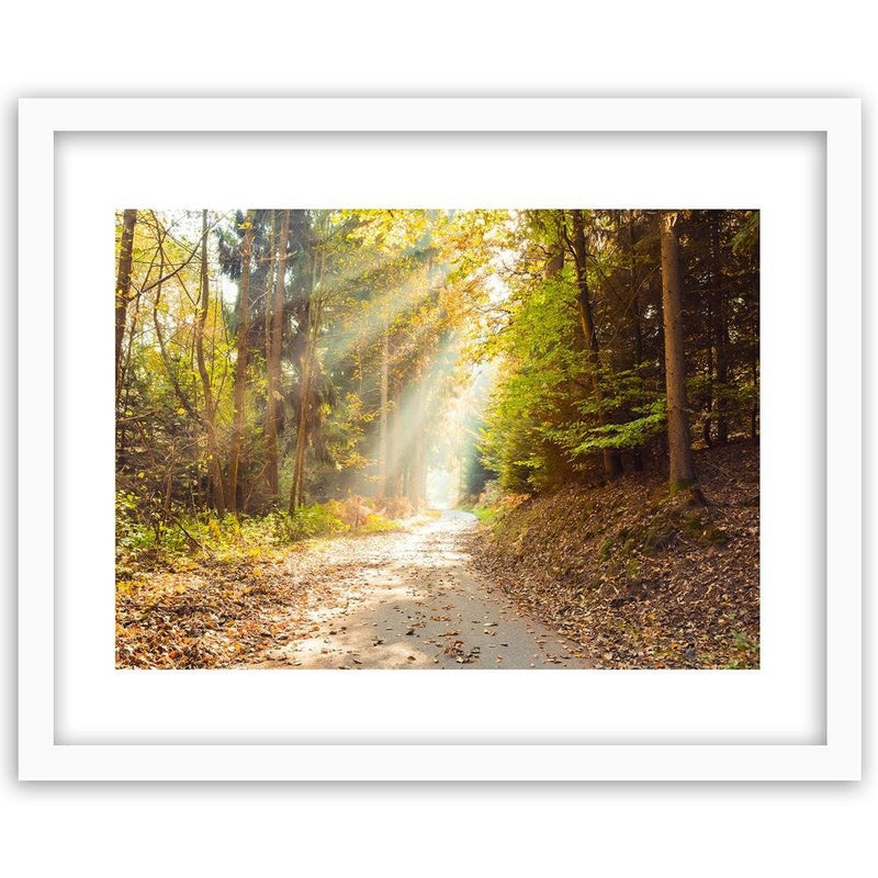 Glezna baltā rāmī - Forest Road In Autumn 