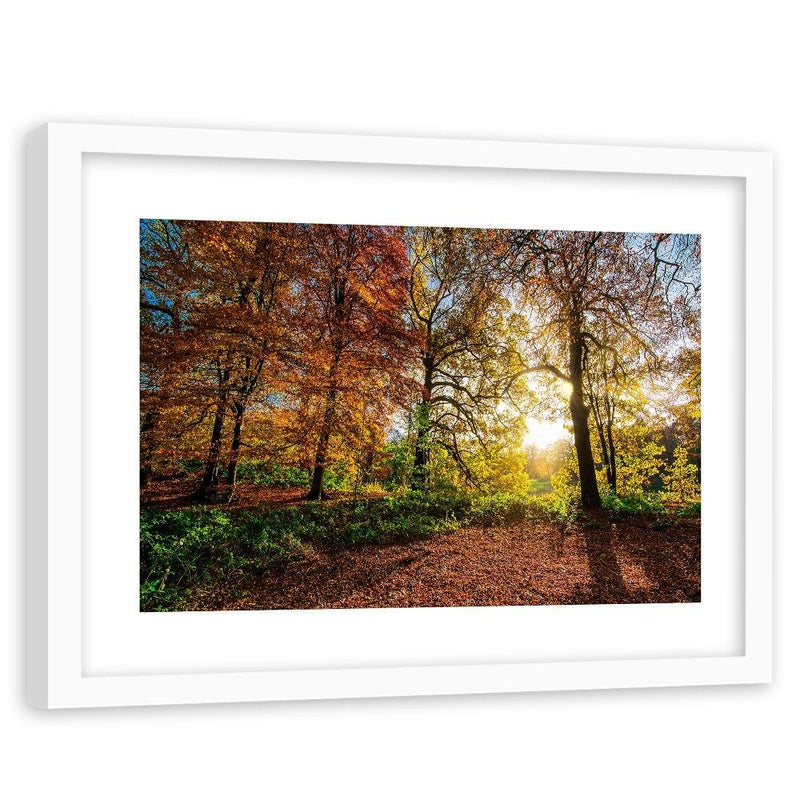 Glezna baltā rāmī - Beautiful Autumn Forest 