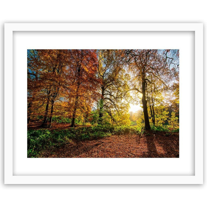 Glezna baltā rāmī - Beautiful Autumn Forest 