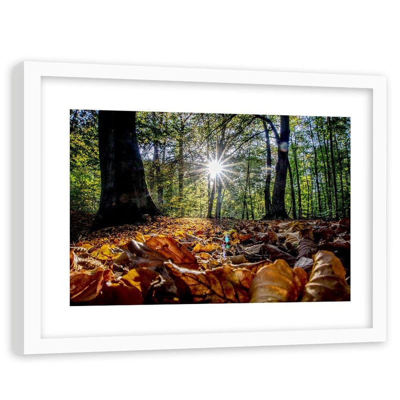 Glezna baltā rāmī - Autumn Leaves In The Sun 