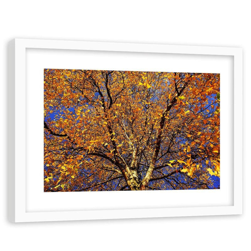 Glezna baltā rāmī - Colorful Leaves On A Tree 
