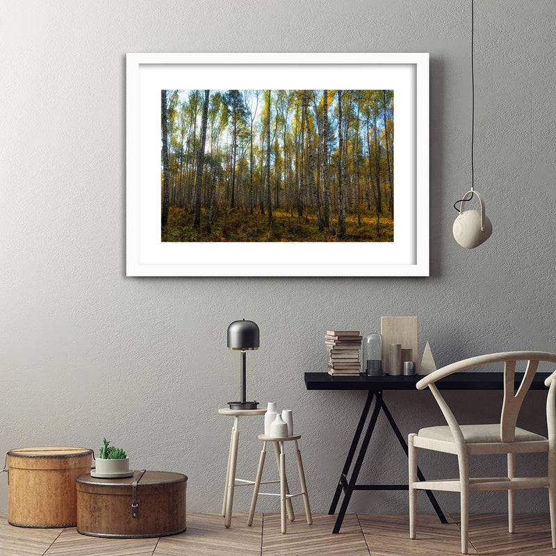 Glezna baltā rāmī - Dense Birch Forest 