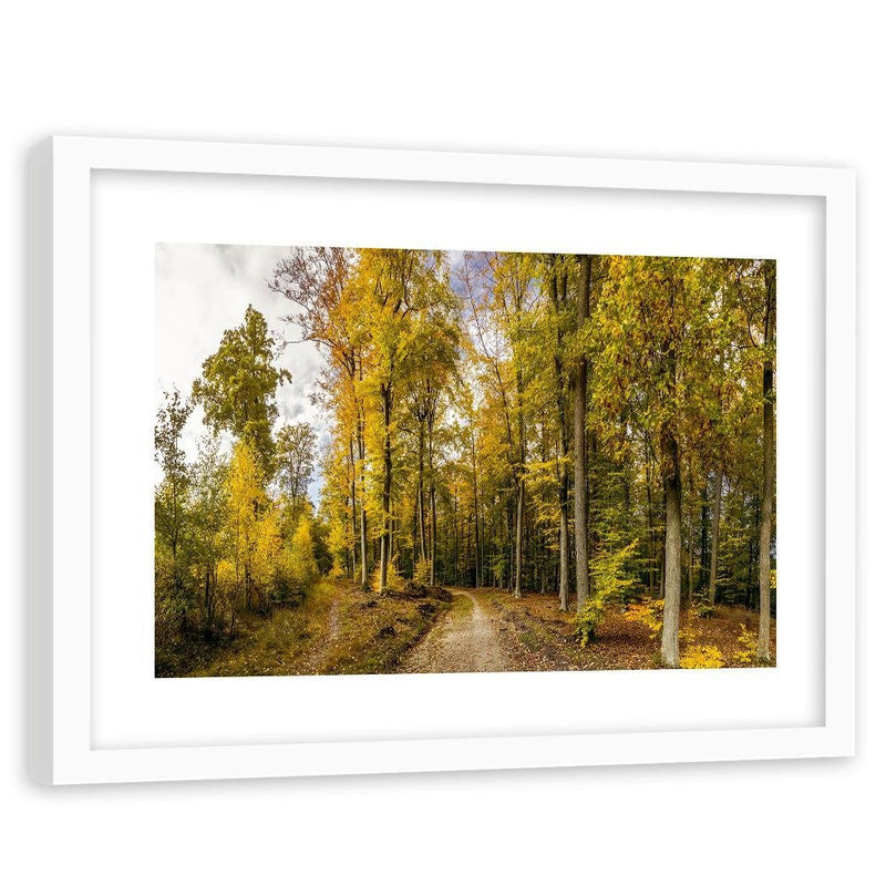 Glezna baltā rāmī - Autumn Trees 
