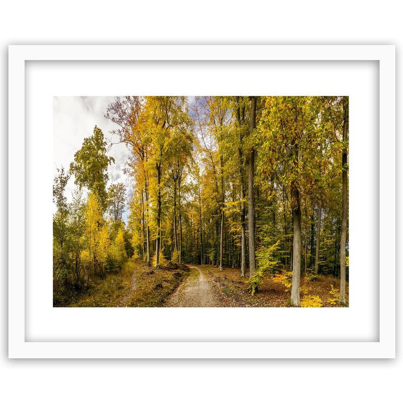 Glezna baltā rāmī - Autumn Trees 