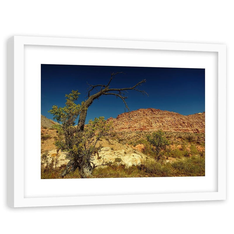 Glezna baltā rāmī - Dry Tree In The Desert 