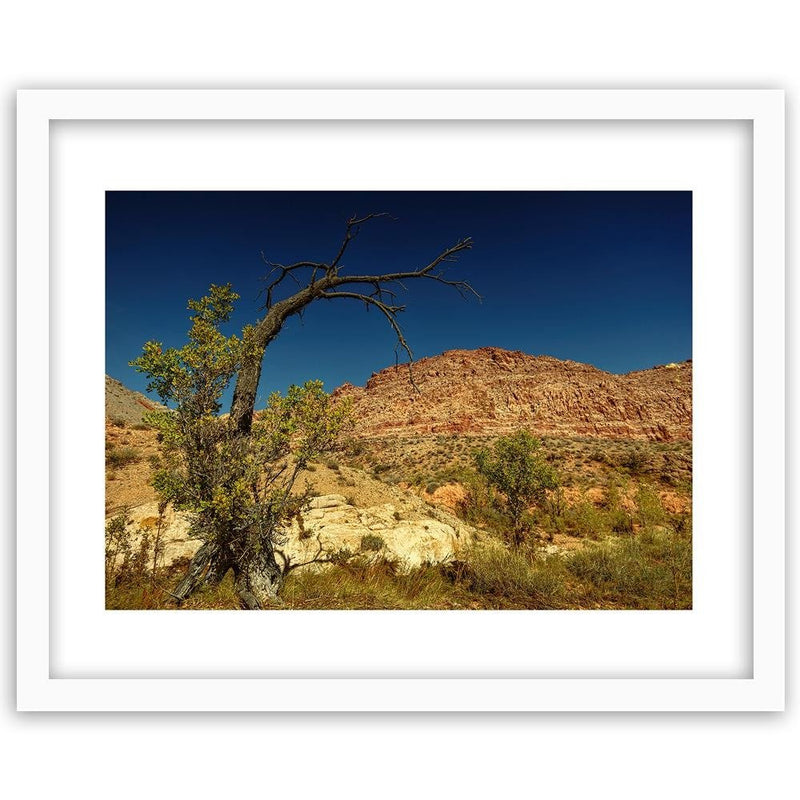 Glezna baltā rāmī - Dry Tree In The Desert 