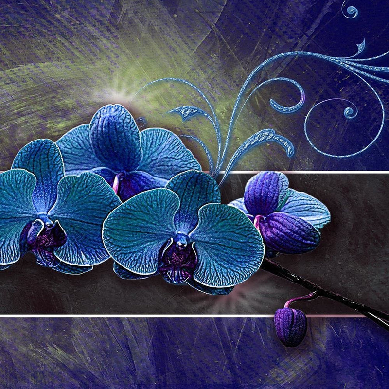 Glezna baltā rāmī - Orchid Color Blue 