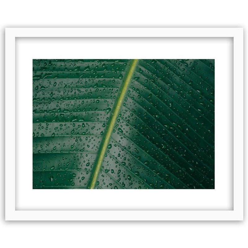 Glezna baltā rāmī - Drops On A Leaf Close-Up 