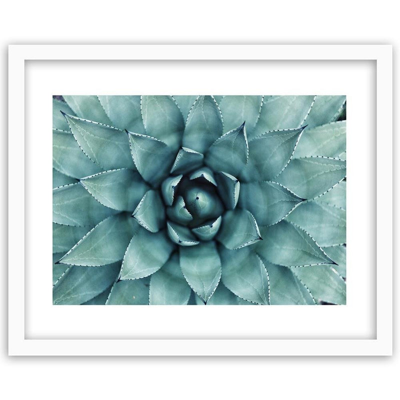 Glezna baltā rāmī - Blue Aloe 