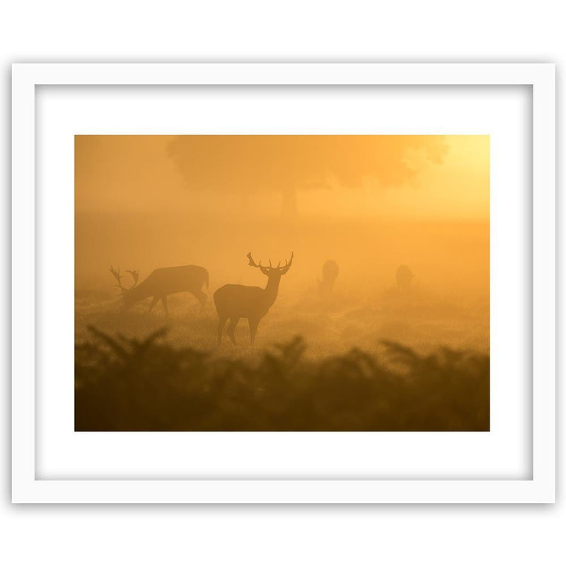 Glezna baltā rāmī - A Herd Of Deer At Dawn 