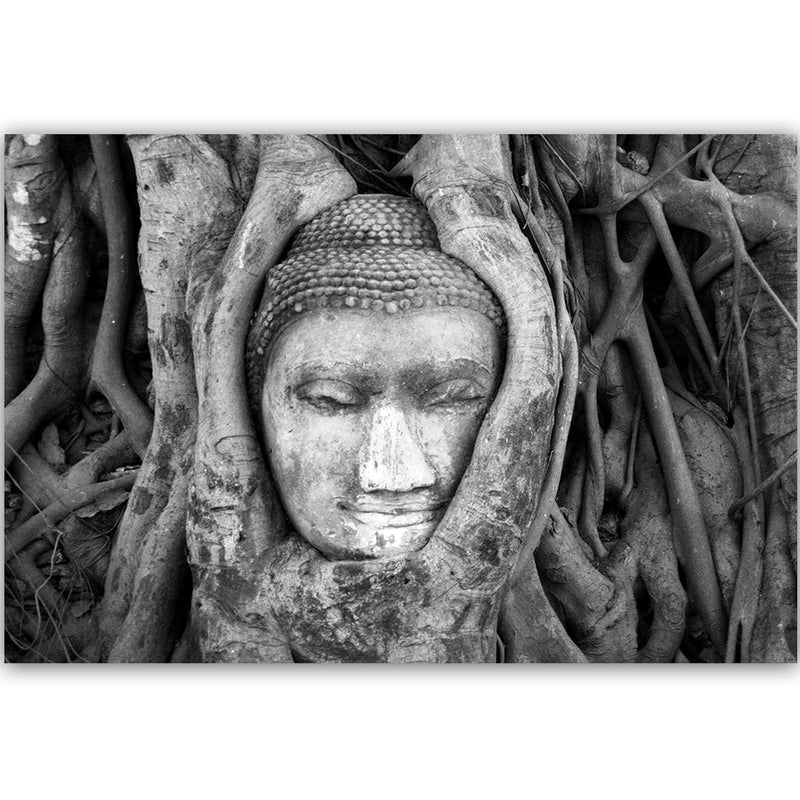 Dekoratīvais panelis - Head Of Buddha In Tree 