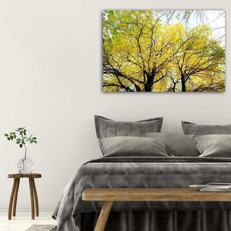 Dekoratīvais panelis - Yellow Leaves On A Tree 