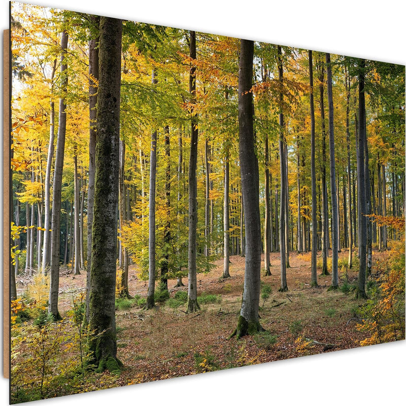 Dekoratīvais panelis - Yellow Autumn Forest 