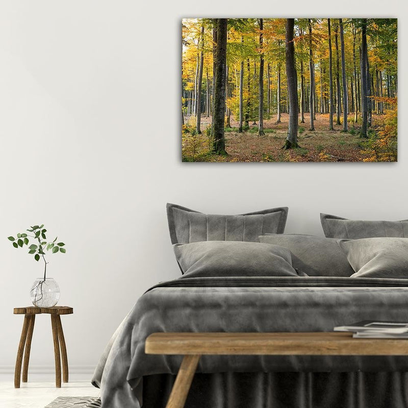 Dekoratīvais panelis - Yellow Autumn Forest 