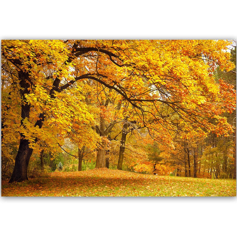 Dekoratīvais panelis - Yellow Autumn Trees 