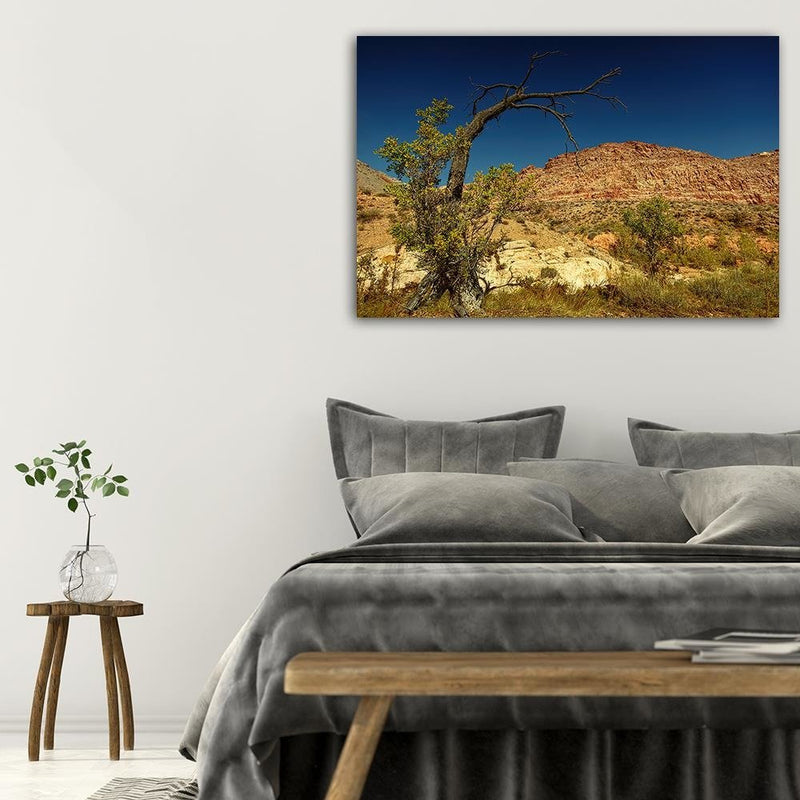Dekoratīvais panelis - Dry Tree In The Desert 