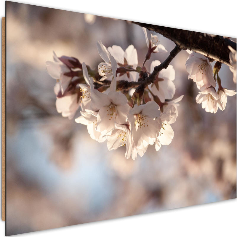 Dekoratīvais panelis - Flowering Cherry 