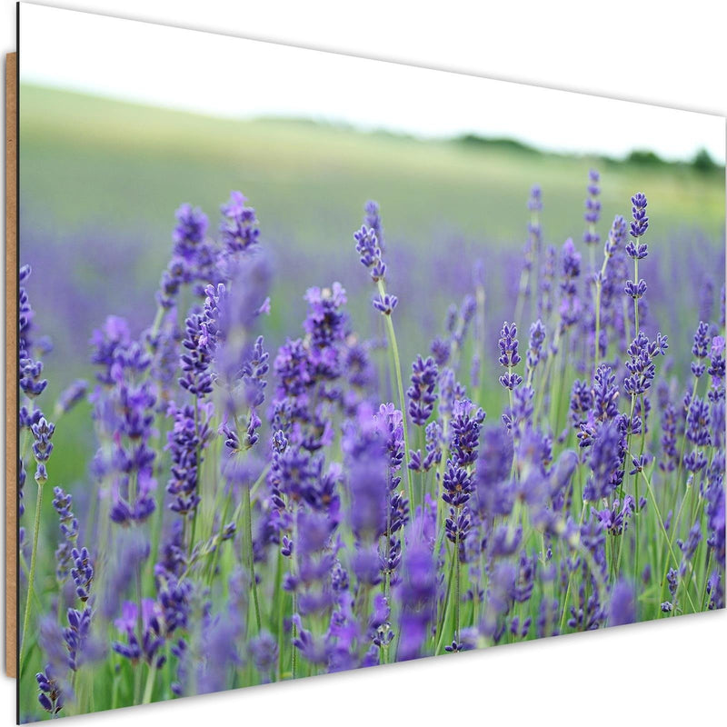 Dekoratīvais panelis - Lavender Fields 