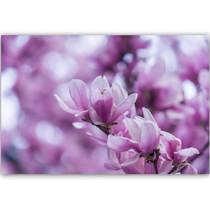 Dekoratīvais panelis - Magnolia Flowers 