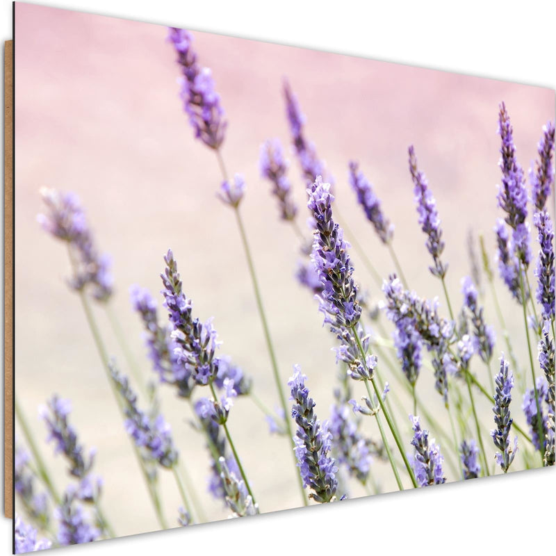 Dekoratīvais panelis - Lavender Flowers 