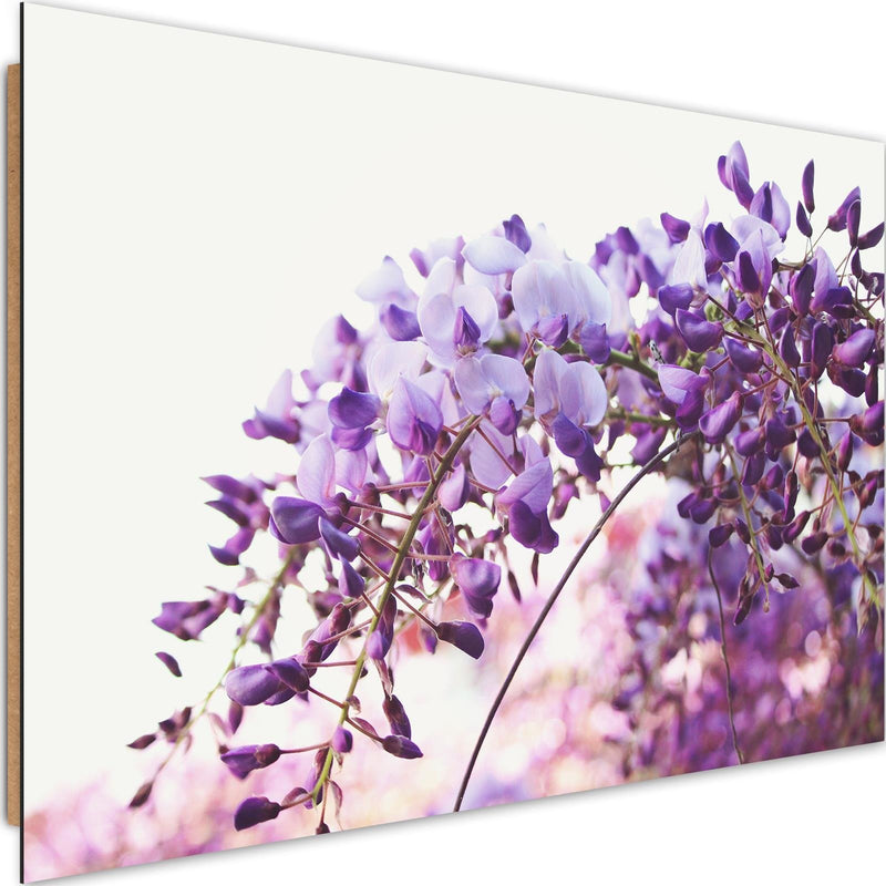 Dekoratīvais panelis - Lilac Wisteria Flowers 